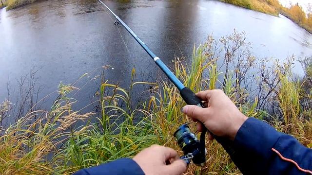 Рыбалка на ЯМАЛЕ. Тайга, малая река, осень. Рыбалка на спиннинг. Часть 1. смотреть онлайн