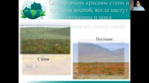 РАСТИТЕЛЬНЫЕ СООБЩЕСТВА| ЛУГА| БОЛОТА| ЛЕСА/ СМЕНА РАСТИТЕЛЬНЫХ СООБЩЕСТВ| ПОДГОТОВКА К ЕГЭ, ЦТ,ЗНО