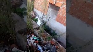 Красный замок часть2