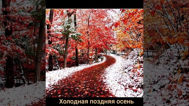 Надежда Солодилова "Поздняя осень" смотреть онлайн