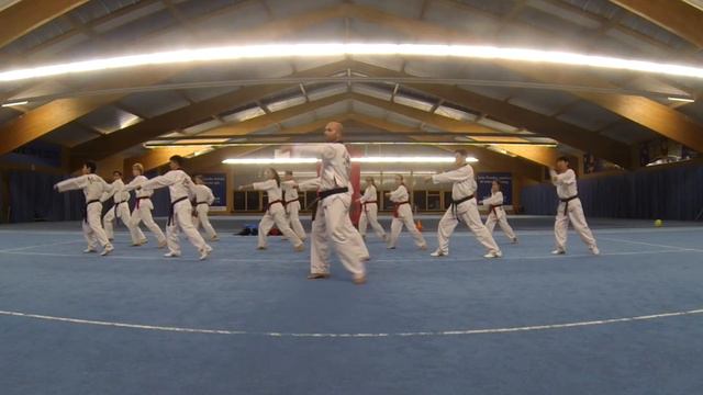 3. Form Taeguk Sam Chang mit Musik смотреть онлайн