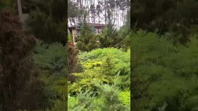 Влог со съёмок Леди Дианы / 9.06.2021 смотреть онлайн