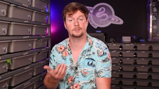 Ball Python Breeding Starter Guide | How Much Space is Needed to Work a Recessive Project? смотреть онлайн