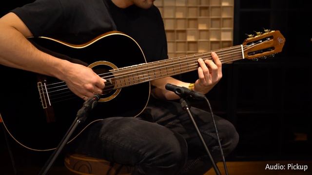 Performer Series Full Size Guitar by Ortega Guitars - Solid Spruce Top - RE238SN-BKT смотреть онлайн