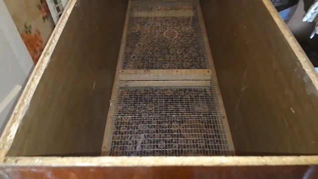 Брудер для цыплят, утят и т.д. Как сделать брудер