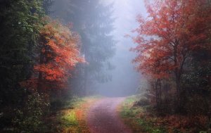 Танго осени.avi