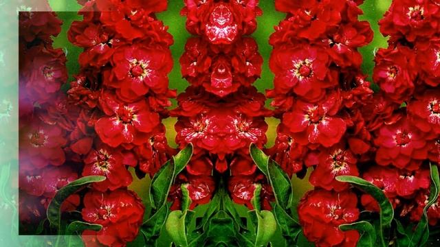 Маттиоли смотреть онлайн