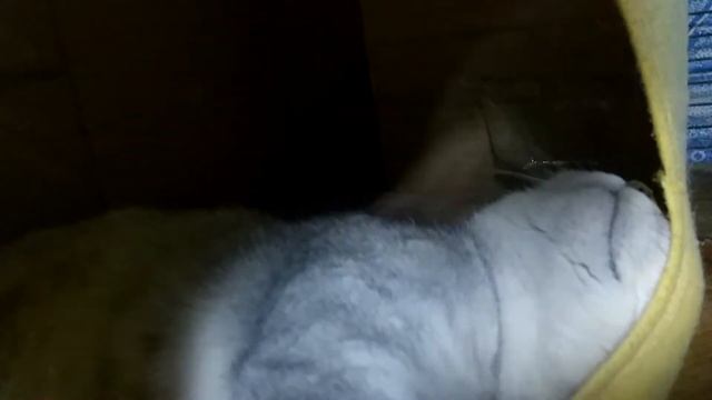 цветные сны смотреть онлайн