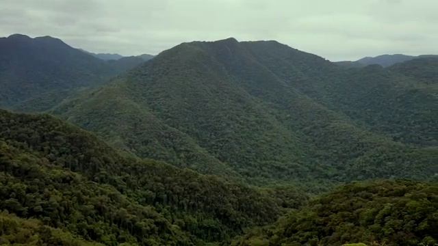 Mountain Birds Chirping, Birds Music,Meditation|Пение птиц