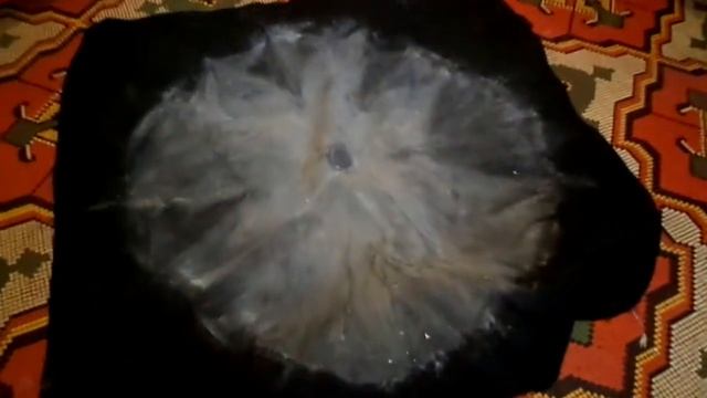 комната потолки, стены смотреть онлайн