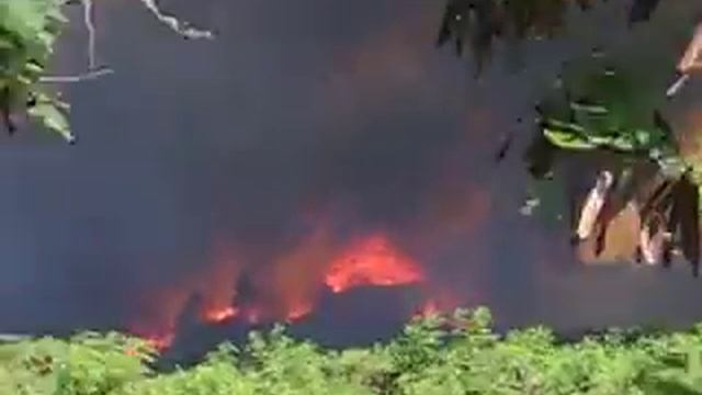 TROPICAL ISLAND BLAZE смотреть онлайн