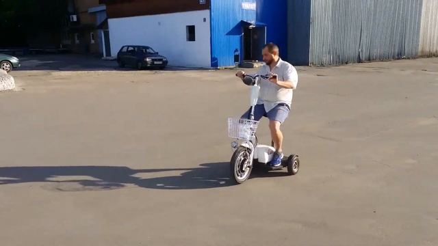 Трицикл Wellness EASY 350W - для передвижения в городе и на даче смотреть онлайн