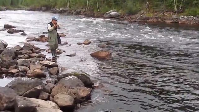 рыбалка на протоке, ловля форели, Карелия (Ориярви-Визиярви) смотреть онлайн