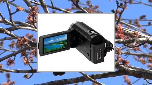 Sony HDRPJ530EB.CEN Handycam смотреть онлайн
