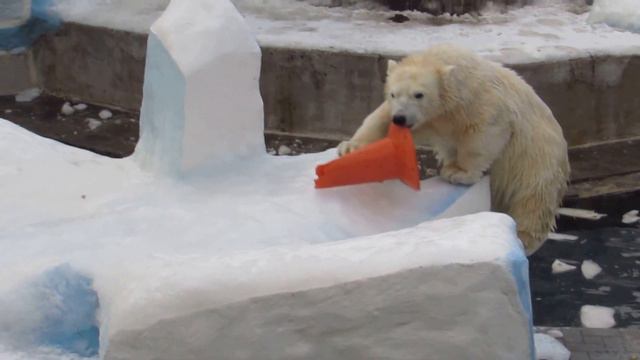 Очень скользко на айсберге 03.11.16 смотреть онлайн