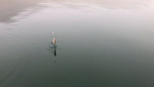 Рыбалка на бычка в Азовском море. Тамань, ноябрь 2021г. смотреть онлайн