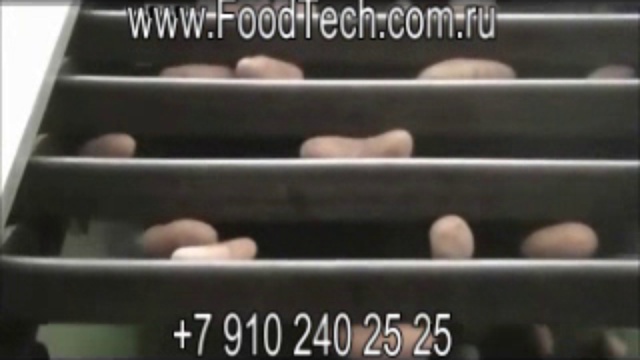 сортировщик картофеля Www.FoodTech.com.ru сортировка картофеля