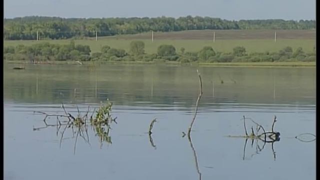 Рыбак рыбаку 266 "Ловля щуки на крепком пруду". смотреть онлайн