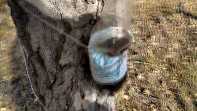 Прогулки с Minelab GO-Find 44 смотреть онлайн