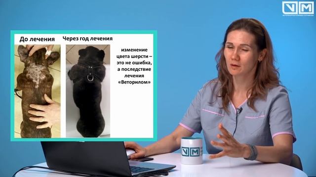 Как стареют, чем болеют, как и чем помочь смотреть онлайн