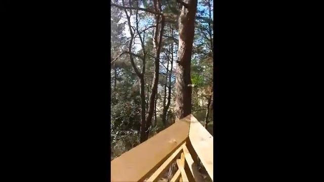 Латвия, Саулкрасты | Latvia, Saulkrasti. Взгляд Лоры | View from Lora's place смотреть онлайн