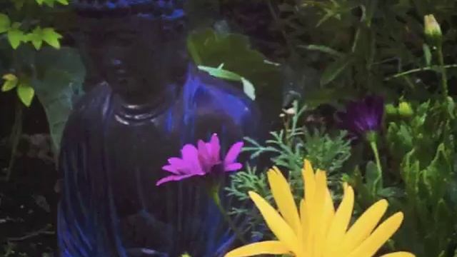 Om Mani Padme Hum   Alexia Chellun