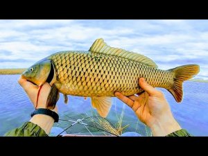 Сибирский странник - первое видео )))Бешенный клёв.