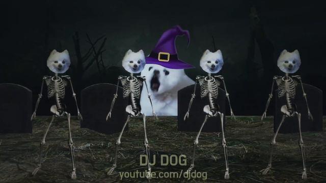 무서운 해골강아지 - Spooky Scary Dogs