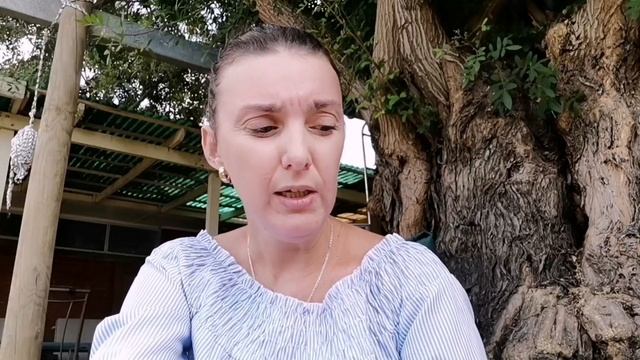 Перевезти домашнее животное в Австралию. смотреть онлайн