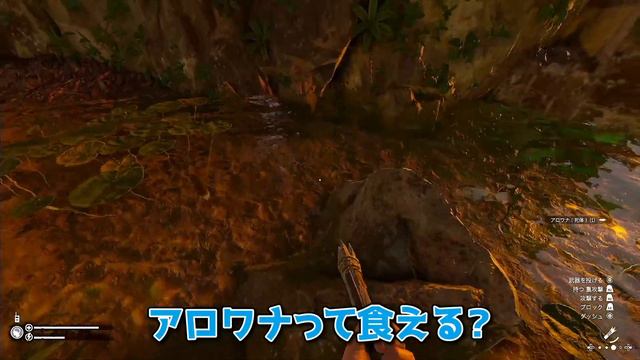 【GREEN HELL】#1 オープンワールドリアルサバイバルゲームグリーンヘル！マルチで協力ストーリーモード【PS4】 смотреть онлайн