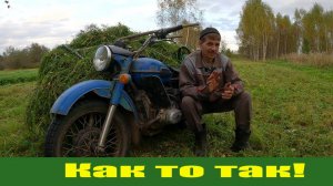 "Не деревенские удобства" - держу в курсе,  адаптер для Беларуса (накосячили), про сено и технику!