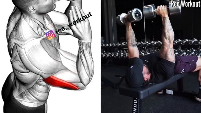 Superset Bicep and Tricep Workout at Gym - Superset Bicep Tricep смотреть онлайн