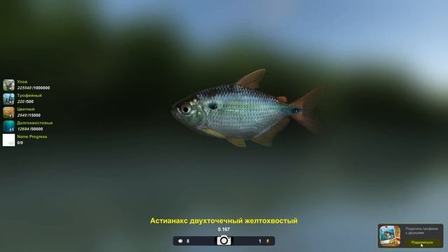 Астианакс двухточечный желтохвостый 167 грамм, игра Трофейная рыбалка 2, река Амазонка, Сукуриджуба смотреть онлайн