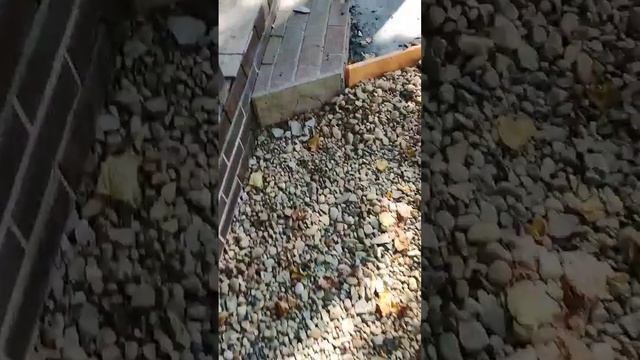 Мягкая отмостка и дренаж.