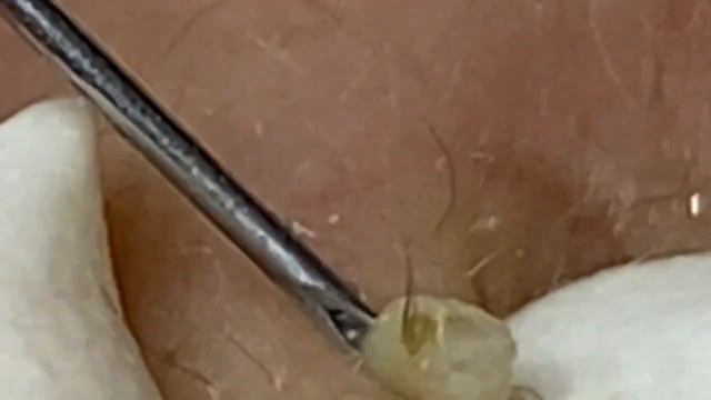 الوقت المناسب مع فيديوهات الغاز الطبيعي المسال #SDS 1632