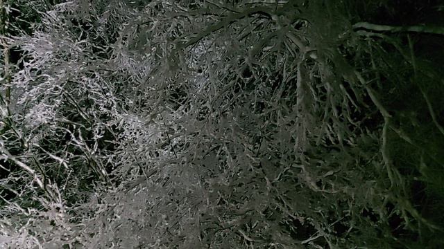 Ночная феерия снега. Зимняя ночь. Тавричанка 13.12.2022 смотреть онлайн