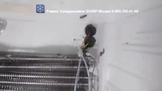 Ремонт Холодильника SHARP SJ F96SP BE 8-965-250-41-48 Москва смотреть онлайн