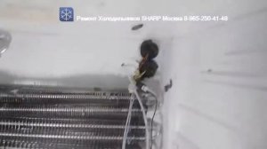 Ремонт  Холодильника SHARP SJ F96SP BE 8-965-250-41-48 Москва