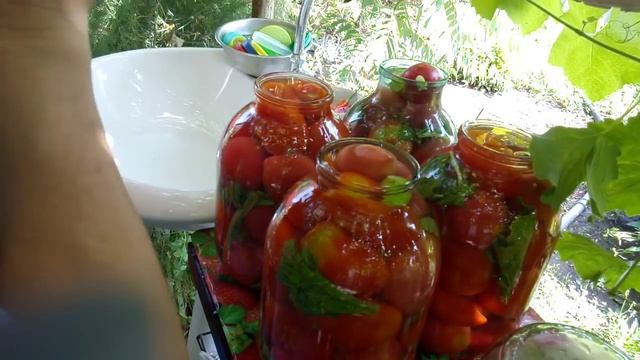 Стройка Плюс