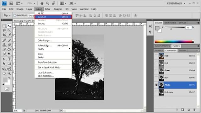 3.8 Masking a Tree Using Multiple Channels: Adobe Photoshop CS4 Video смотреть онлайн