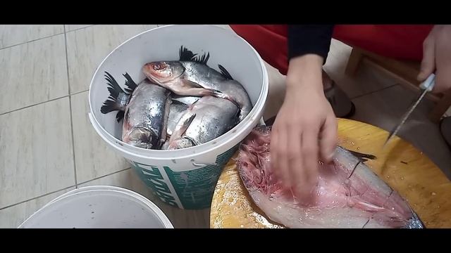 kapchoniy baliq tayyorlash смотреть онлайн