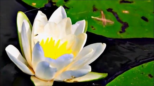 Что могу увидеть по пути на работу, на дачу (и чуть дальше) смотреть онлайн