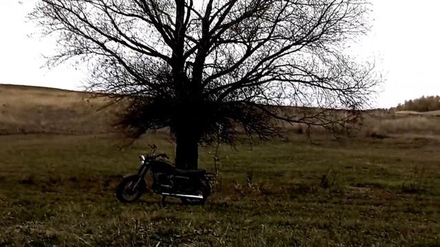 ВЕДЬМИНО ДЕРЕВО - прохват по осеннему лесу на мотоцикле восход охотник - восход 3м охотник смотреть онлайн