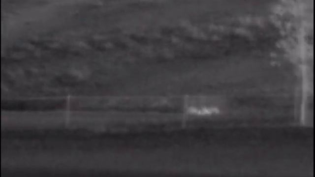 Pulsar Helion XQ38F Rehwild Ende Februar смотреть онлайн