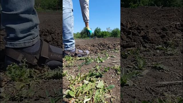 ...расчистка и выравнивание участка без техники? смотреть онлайн