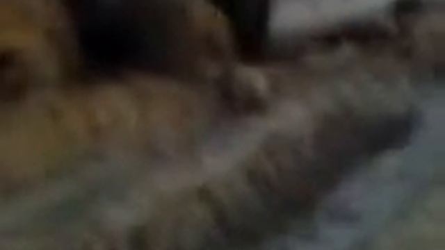 Рабочие будни вахтовиков... смотреть онлайн