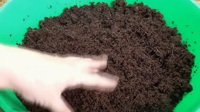 Грунт для выращивания рассады. Какой выбрать? Как я проводила испытания магазинного грунта. смотреть онлайн