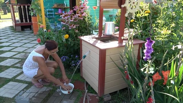 6 соток 19 августа 2022 года. Хроника. Преображение. Life in the garden. holiday смотреть онлайн