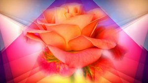 Футаж. Цветочный фон 115