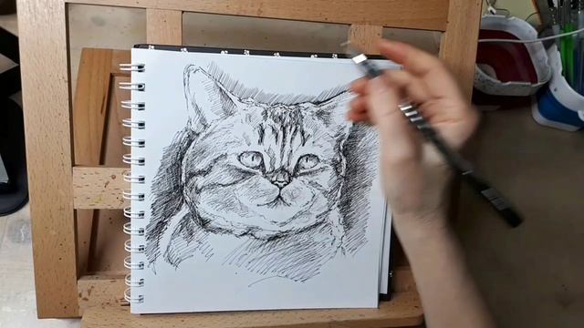 Ах, этот взгляд неуловим, но сколько в нем души кошачей...